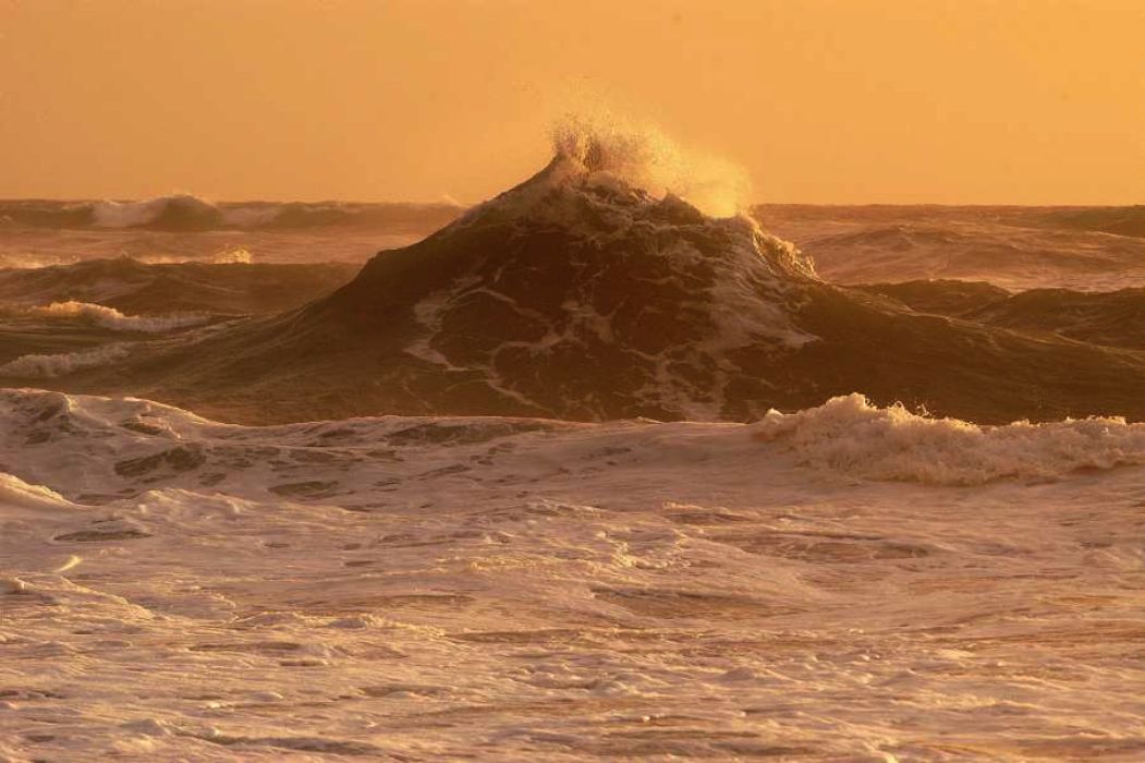 Nom de l'image : D1167637-1_(c)Norbert-JUNG — Description :